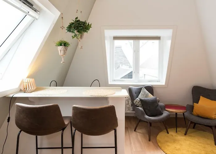 Séjour chez l'habitant Saint Claire Studio's *